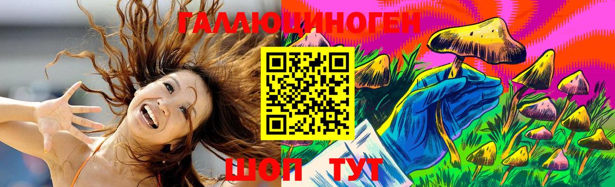 Псилоцибиновые грибы Psilocybe Волжский