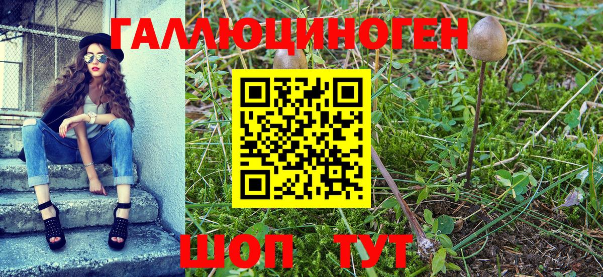 Галлюциногенные грибы ЛСД  Галлюциногенные грибы GOLDEN TEACHER  Волжский 