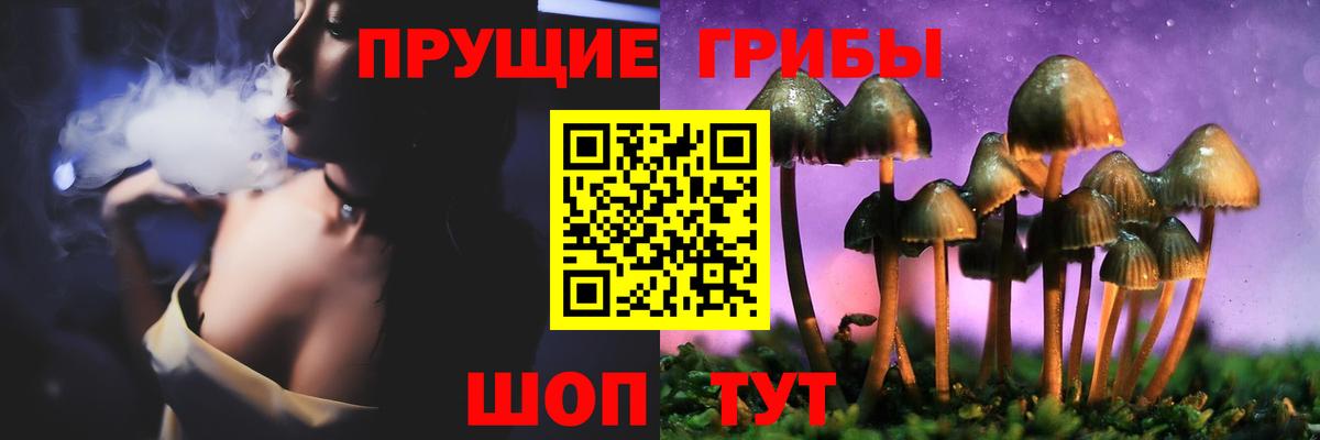 Галлюциногенные грибы Magic Shrooms  Псилоцибиновые грибы MAGIC MUSHROOMS  Волжский  Вход с VPN 